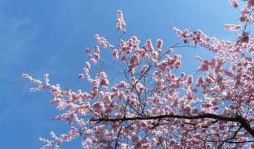 ２０１３年　４月の定休日