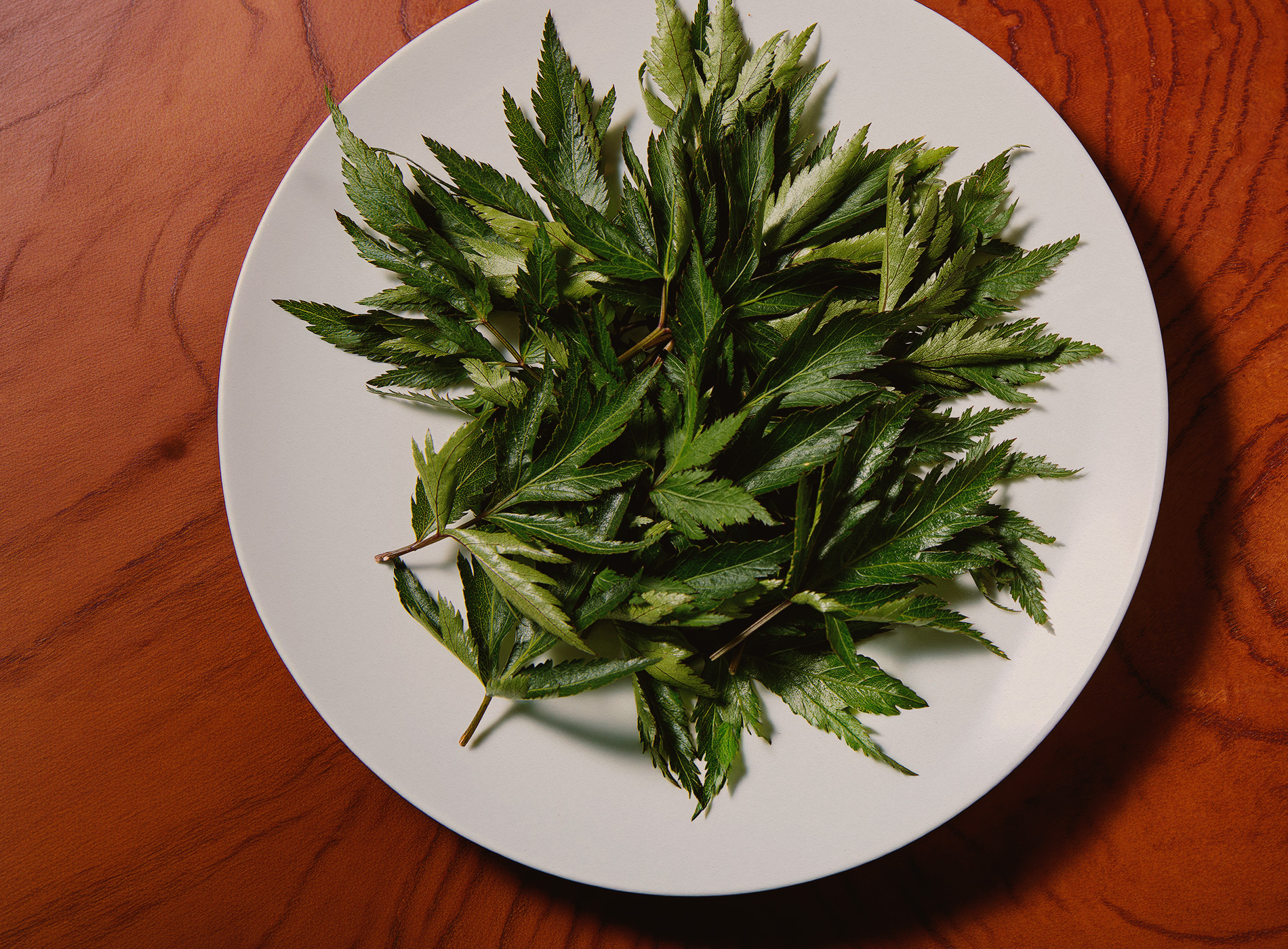 大和野菜